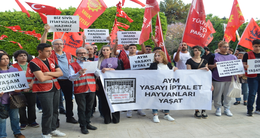 Katliam Yasası’na Hayır! Hayvanların Yaşam Hakkını Korumak İçin Ses Verin