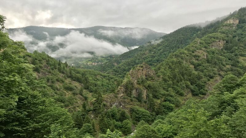 Adana’da Ormanlık Alanlara Giriş Yasaklandı! 31 Ekim’e Kadar Geçerli