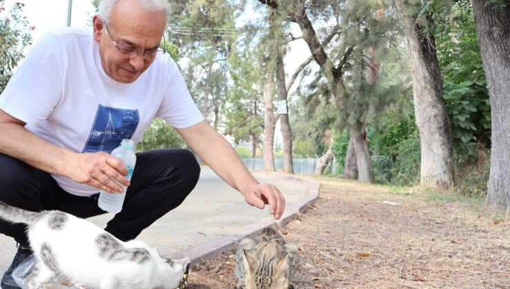 MHP Adana İl Başkanı Yusuf Kanlı’dan Sokak Hayvanları İçin Çağrısı