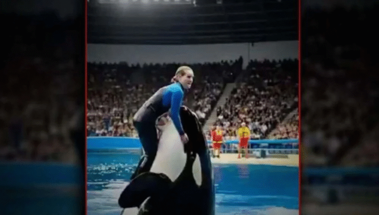 Jessica Radcliffe Balina Saldırısı Viral Videosu: Gerçek mi, Sahte mi?