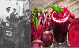 Bir Bardak Şifa: Adana Şalgamcılarının Yolculuğu