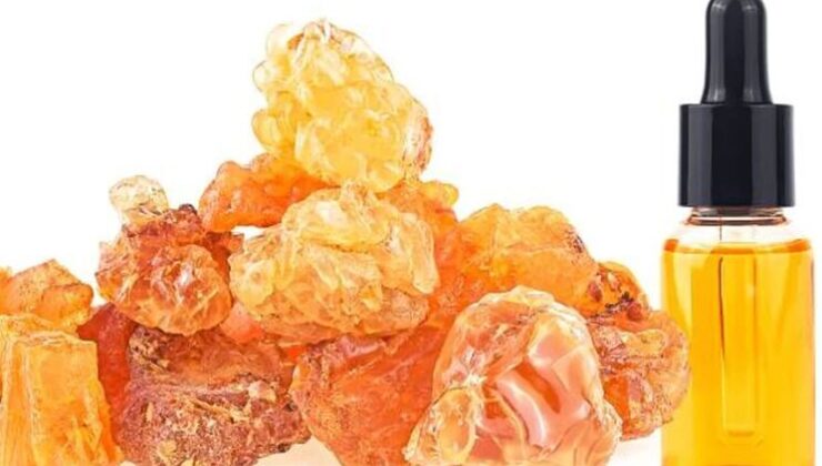 Akgünlük Ağacı Mucizesi! 1 Tanesi Bile Kanser Riskini Azaltıyor