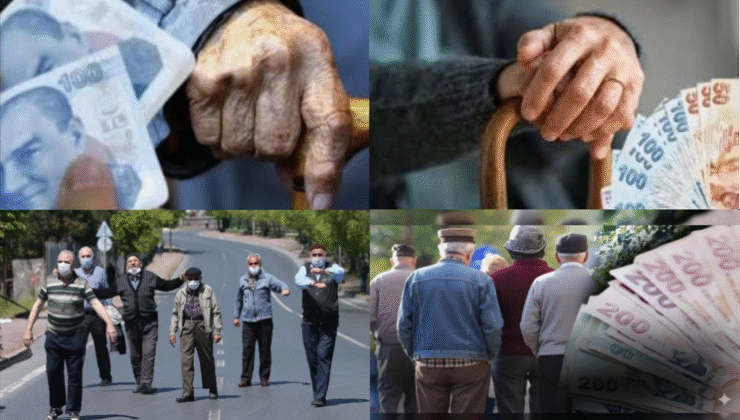 Emeklilere Tarihin En Kapsamlı Desteği Üç Bakanlığın Eşgüdümde Yürütülüyor