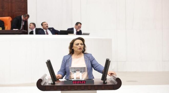 Müzeyyen Şevkin“Pozantı halkının sesine kulak verin”