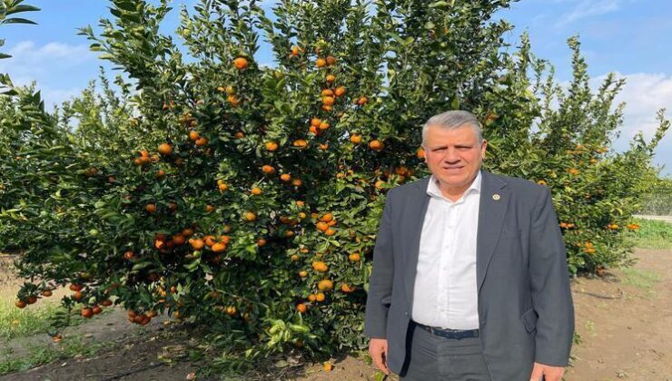 Ayhan Barut’tan acil destek çağrısı Adanalı üreticileri dolu vurdu