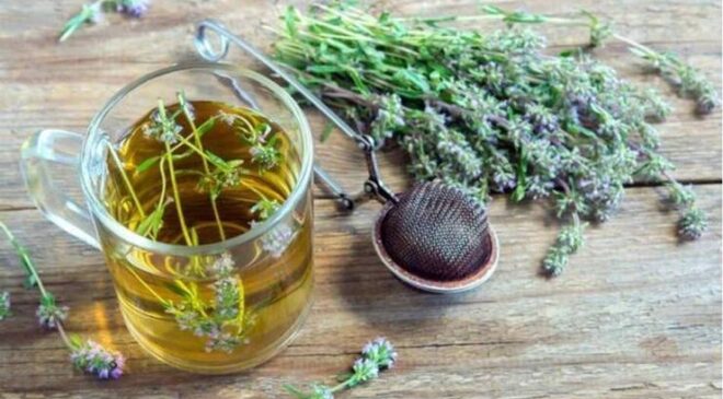 Kekik Çayının Faydaları Nelerdir? Nasıl Yapılır?