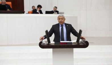 MİLLİ PARKLARDA PLANLAMA DEĞİL, RANTIN ÖNÜ AÇILIYOR!